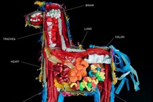Anatomía de una piñata