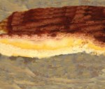 pastel-jamon-queso1